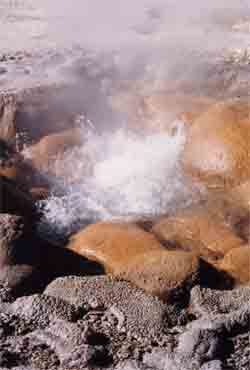 hot spring in Yellowstone National Park