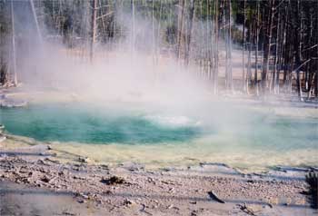 hot spring in Yellowstone National Park  