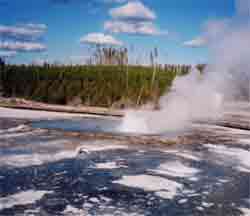 hot spring in Yellowstone National Park  