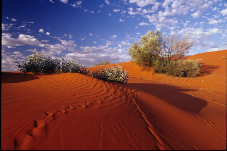 lscapesanddunesparker