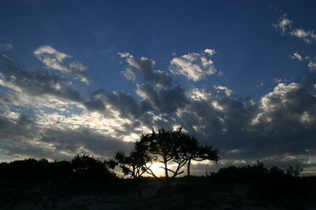 picture011