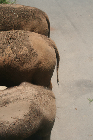 picture029