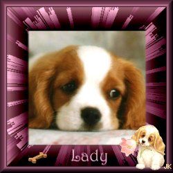 Adopted Lady from Judy's Adoptions