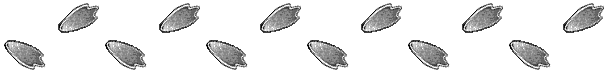 foot prints