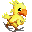kwak kwak!