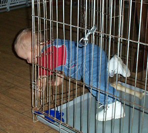 Feb 20, 2004