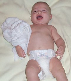 June 8, 2003