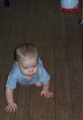 Sep, 8 2003