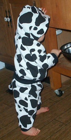 Oct 31, 2003
