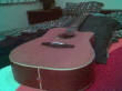 NANCEs favorite 12 string