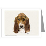 Basset Hound Watercolor Greeting Card by NANCE