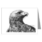 Eagle Pen and Ink Greeting Card by NANCE