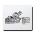 Chipmunk Pen and Ink Mousepad by NANCE