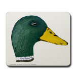 Duck Mallard Drake Watercolor Mousepad by NANCE