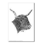 Bull Pen and Ink Postcard by NANCE