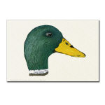 Duck Mallard Drake Watercolor Postcard by NANCE