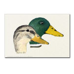 Mallard Duck Pair Watercolor Postcard by NANCE