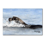 Baby Seal Watercolor Postcard by NANCE