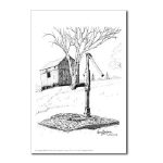 Old Country Waterpump and Shed Pen and Ink Postcard by NANCE