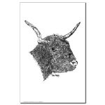 Bull Pen and Ink 11 X 17 Poster/Print by NANCE