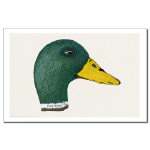 Duck Mallard Drake Watercolor 11 X 17 Poster/Print by NANCE