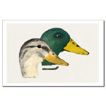 Mallard Duck Pair Watercolor 11 X 17 Poster/Print by NANCE
