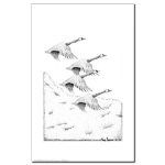 Geese Pen and Ink 11 X 17 Poster/Print by NANCE