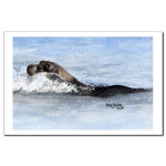 Baby Seal Watercolor 11 X 17 Poster/Print by NANCE