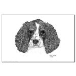 English Springer Spaniel Pen and Ink 11 X 17 Poster/Print by NANCE