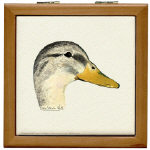 Duck Mallard Hen Watercolor Tile/Coaster Box by NANCE