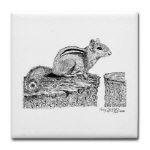 Chipmunk Pen and Ink Tile/Coaster by NANCE