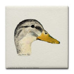 Duck Mallard Hen Watercolor Tile/Coaster by NANCE