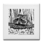 Raccoon Pen and Ink Tile/Coaster by NANCE