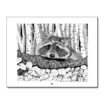 Raccoon cover on a vwall calendar filled with NANCEs pen and ink artwork