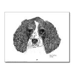 English Springer Spaniel on the cover of a wall calendar filled with NANCEs pen and ink artwork