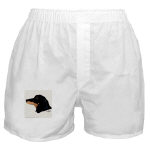Dachshund Acrylic Boxer Shorts by NANCE