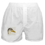 Duck Mallard Hen Watercolor Boxer Shorts by NANCE