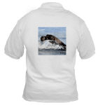 Baby Seal Watercolor Golf Shirt by NANCE