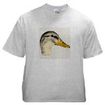 Duck Mallard Hen Watercolor Ash Grey T-Shirt by NANCE