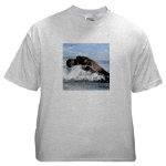Baby Seal Watercolor Ash Grey T-Shirt by NANCE