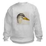 Duck Mallard Hen Watercolor Sweatshirt by NANCE