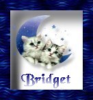 Bridget's Site