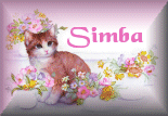 Simba's Place