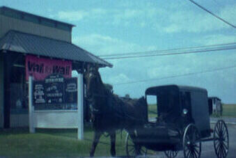 Clip clop clip clop