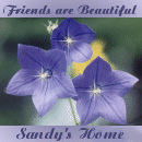 Sandy's Home