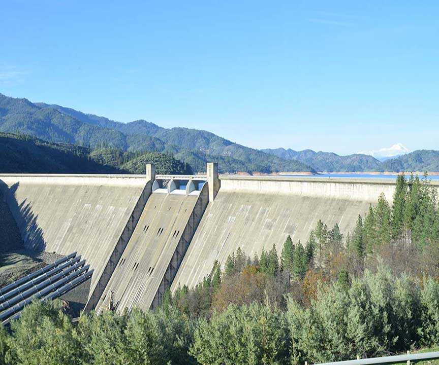 shasta