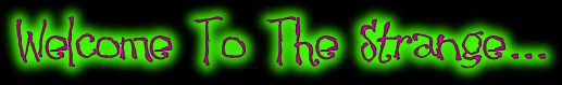 My Website