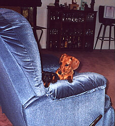 bluechair2