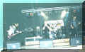 Live Bait 1