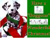 thumbnail xmas 12